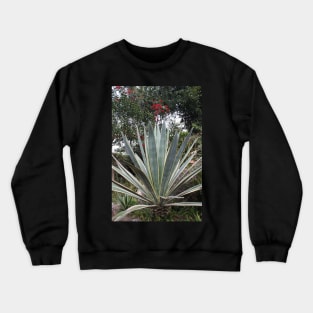 Mexican Plant Crewneck Sweatshirt